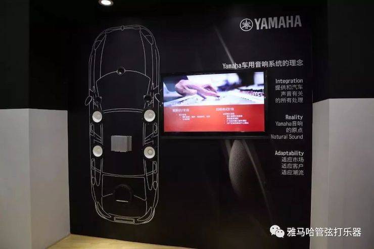彩乐园乐器