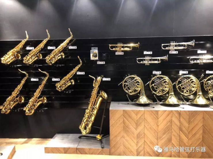 彩乐园乐器 试奏乐器