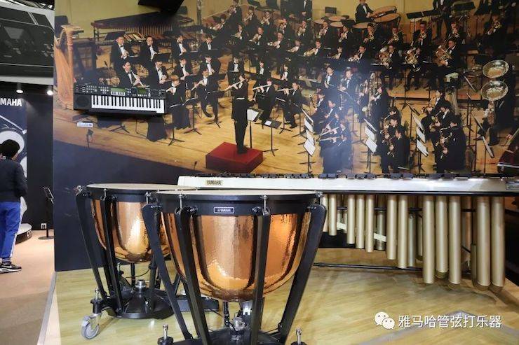 彩乐园乐器 试奏乐器