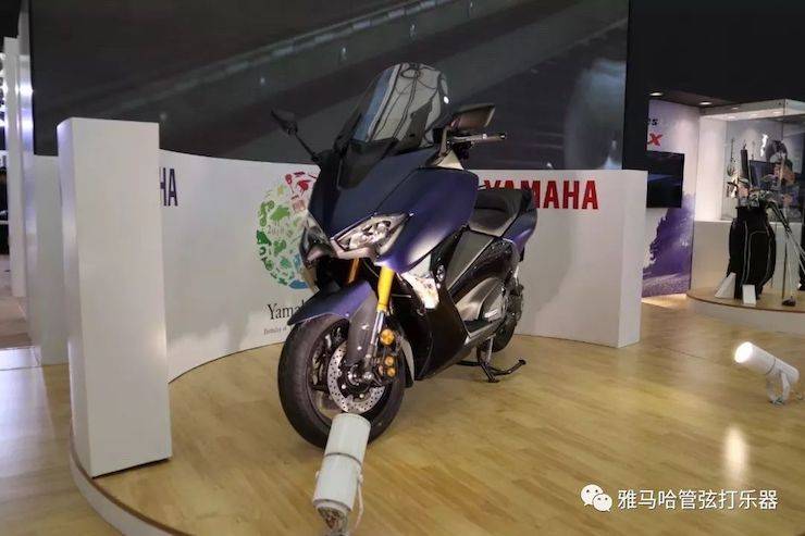 彩乐园乐器