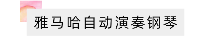 活动报道 | 远程艺术教育大师课活动——彩乐园特邀艺术家张奕明大师课