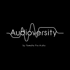 彩乐园专业音响教育培训开展全新“Audioversity ”计划